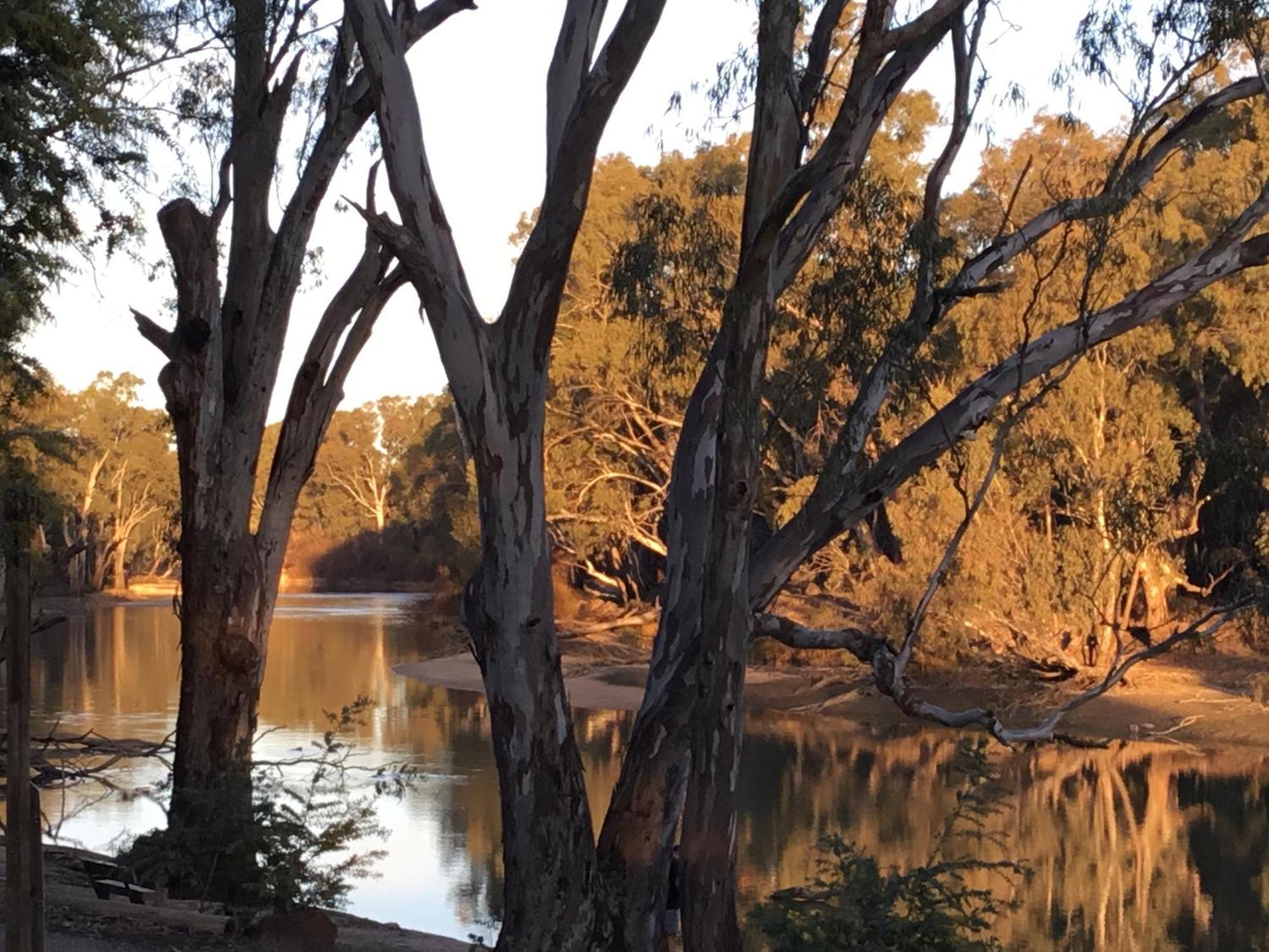 Deniliquin Riverside Caravan Park 外观 照片