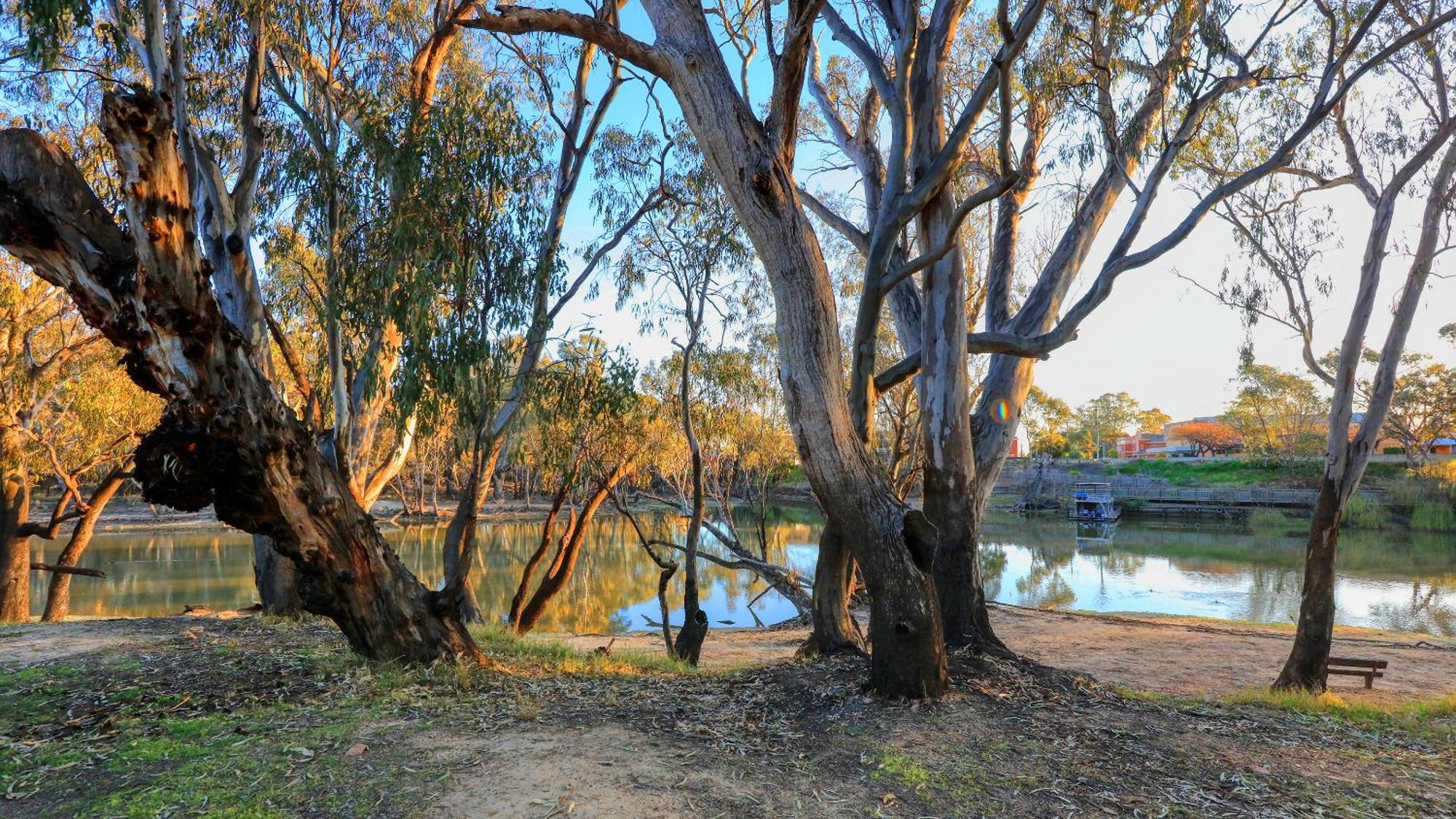 Deniliquin Riverside Caravan Park 外观 照片